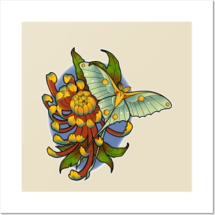 Luna moth chrysanthemum Posters and Art